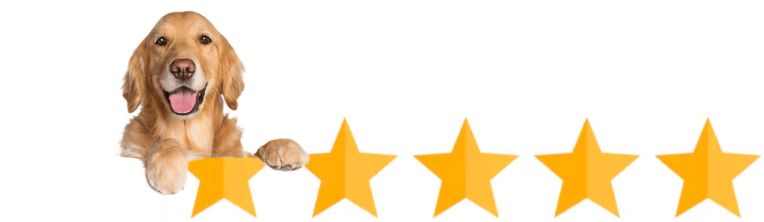 5-star customer ratings