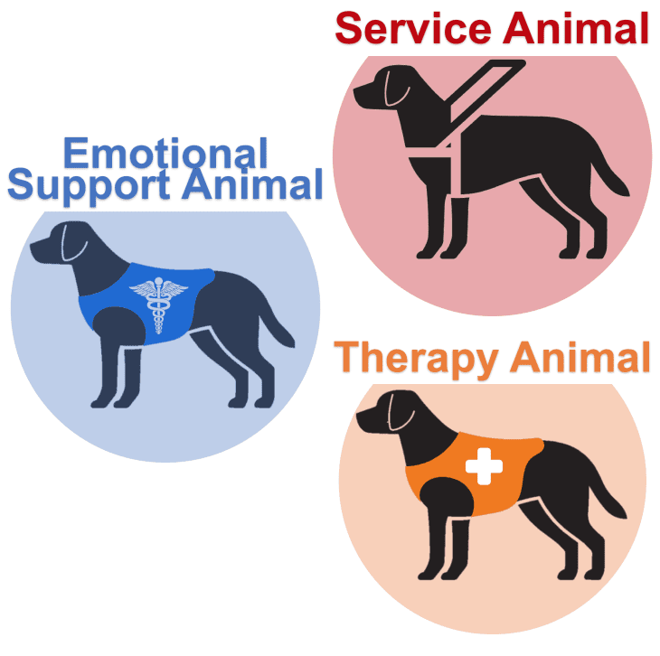 Iconic illustration comparing Service Dog, ESA, and Therapy Dog functions