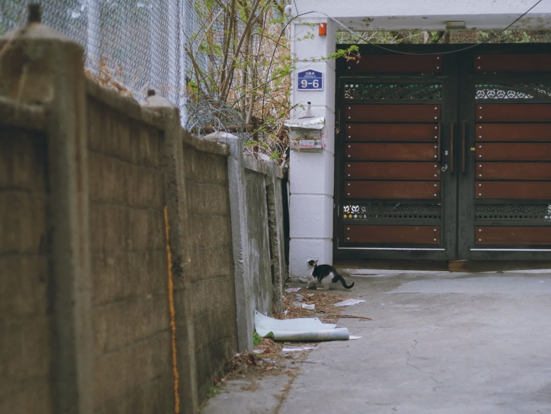 florida support animal — closed brown gates