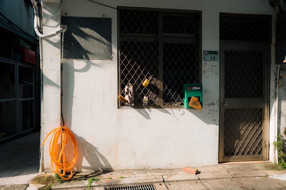 massachusetts support animal — Orange hose coiled by white wall with window