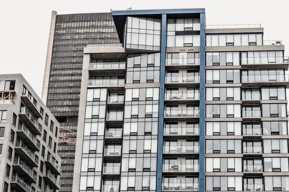 new york support animal — 7 Essential New York Support Animal Housing Rights Every Tenant Must Know