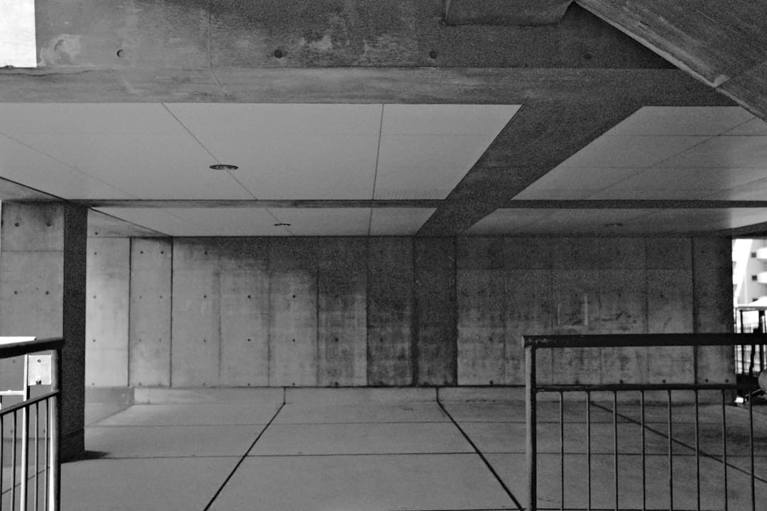 southern support animal. Underneath of a concrete structure, in black and white.