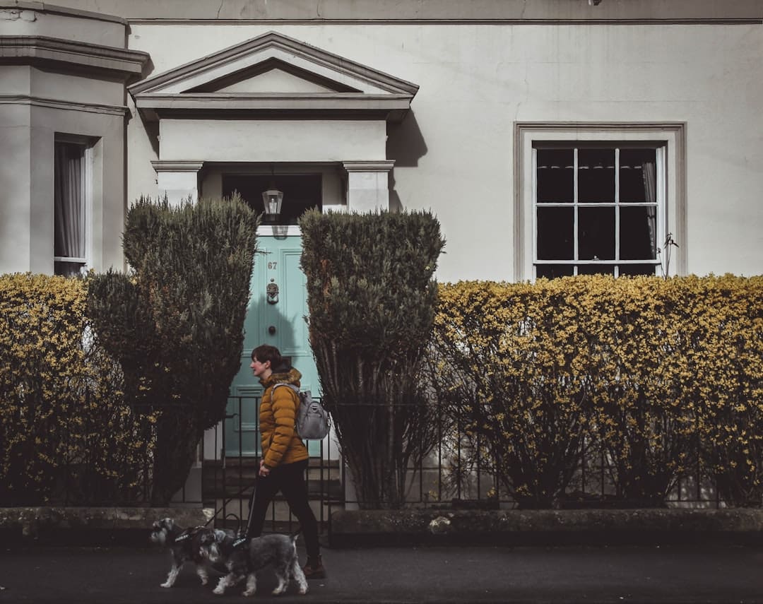 new york support animal — green and white concrete building with green plants