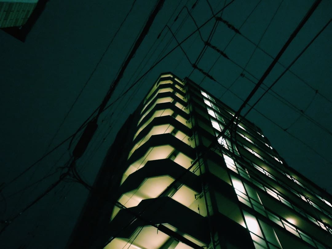 Nevada support animal — a tall building lit up at night in the dark