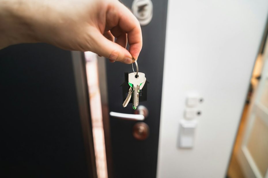 South Carolina support animal — South Carolina Support Animal Laws: What Tenants Need to Know