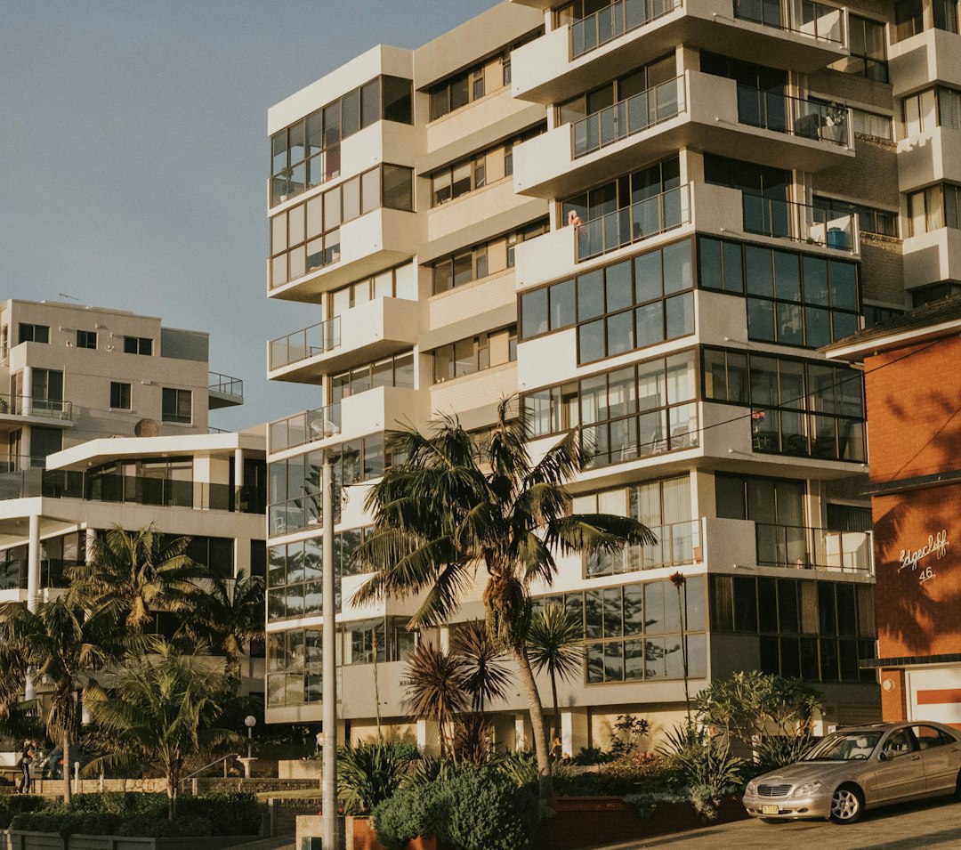 support animal tenant protections — green palm tree near silver sedan